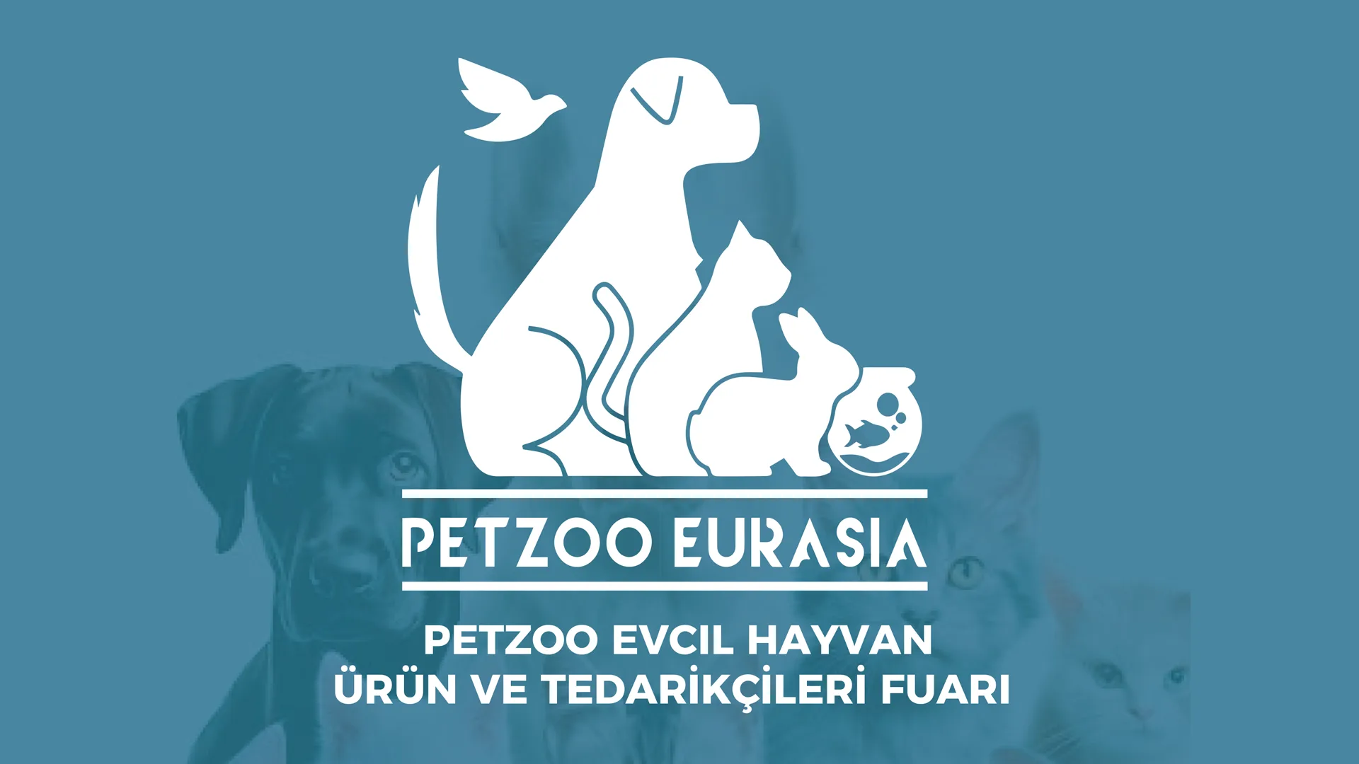 Petzoo Eurasia Fuarı Pr Çalışmalarıyla Göz Kamaştırdı. Dinamik İşler Dijital Reklam Ajansı Petzoo Eurasia Fuarı Pr Çalışmalarıyla Göz Kamaştırdı.