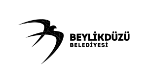 beylikduzu